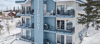 Clean , affordable condo steps to summer hiking, biking and skiing!!