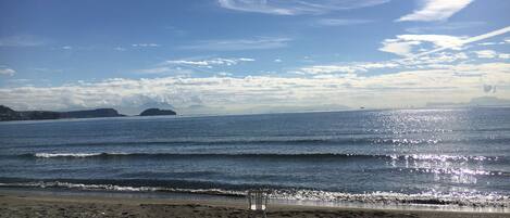 بالقرب من الشاطئ