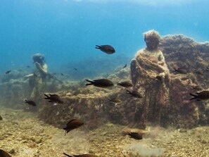 Beach nearby - Lakeside apartment in Lucrino,Pozzuoli   (Pozzuoli)