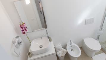 Shower, hair dryer, bidet, towels