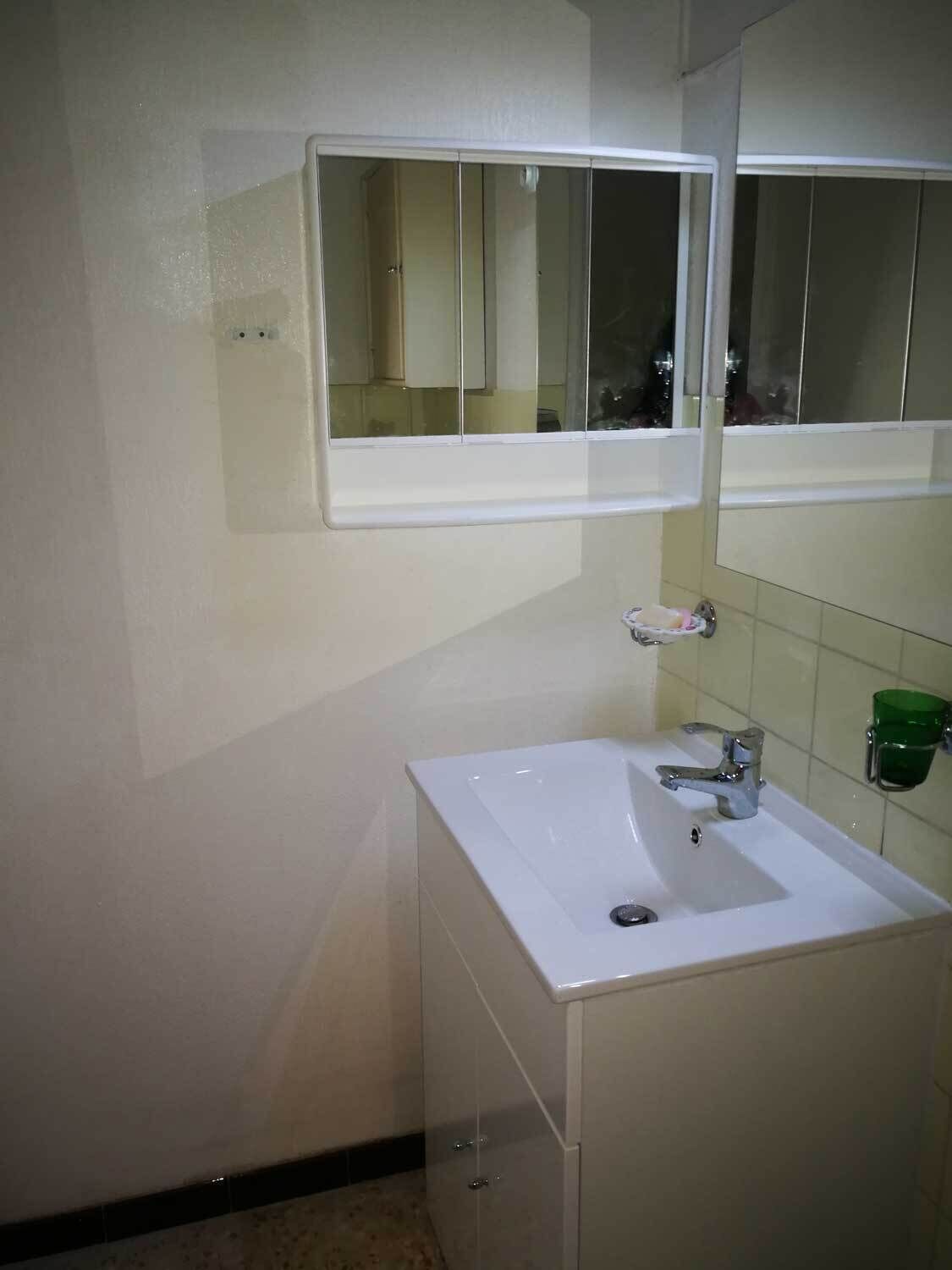 Une petite salle de bain avec un lavabo blanc, un miroir et un distributeur de savon vert.