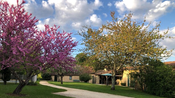 A well-maintained garden with a gravel path leading to a building with a tiled roof. - In a green setting, pretty farm (producing walnuts and strawberries), swimming pool (Cendrieux)
