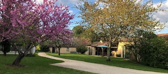 In a green setting, pretty farm (producing walnuts and strawberries), swimming pool