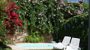 Piscina con dos sillas de descanso y abundante vegetación.