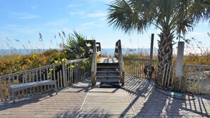 A wooden boardwalk leading to a beach, with a bench and a palm tree on the left. - Sea Cloisters I 101B - Oceanfront Condominium in Surfside Beach (Surfside Beach)
