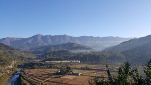 Photo non classée, 4 sur 15, bouton