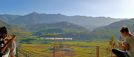 Terrain de lâhĂ©bergement