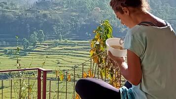 Área da propriedade