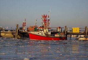 Port de plaisance
