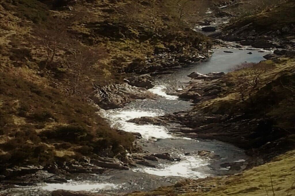 Ein Fluss fließt durch eine felsige Landschaft mit vereinzelter Vegetation.