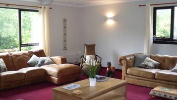 Televisio, takka, DVD-soitin, kirjoja