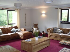 TV, fireplace, DVD player, books