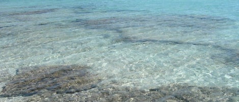 Sun loungers, beach towels