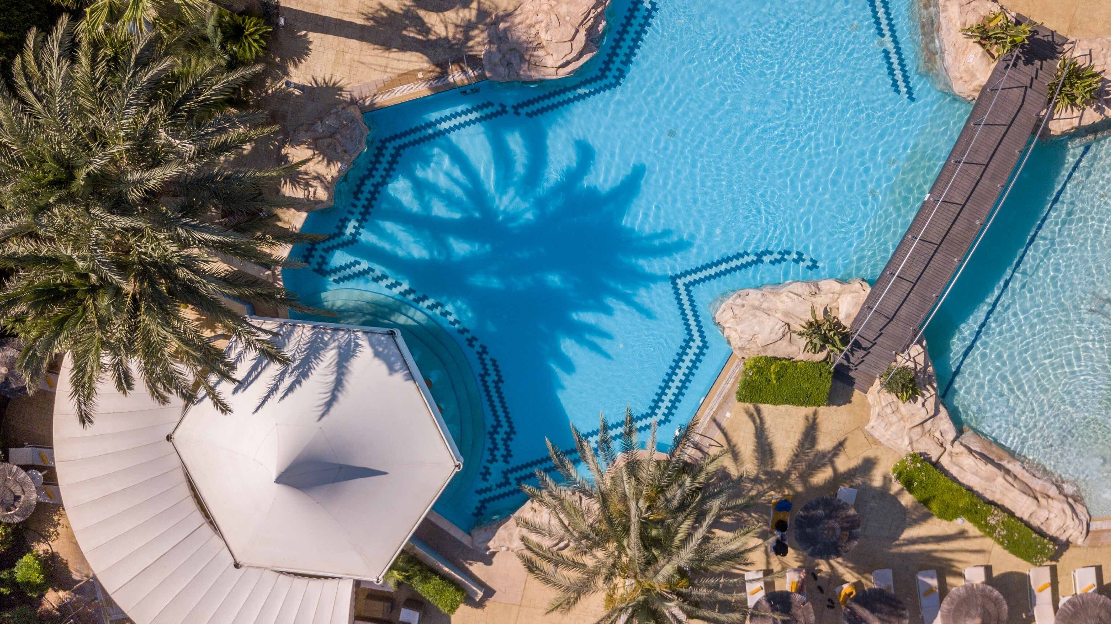 An aerial view of a swimming pool with a geometric tile pattern, surrounded by palm trees and a wooden deck.