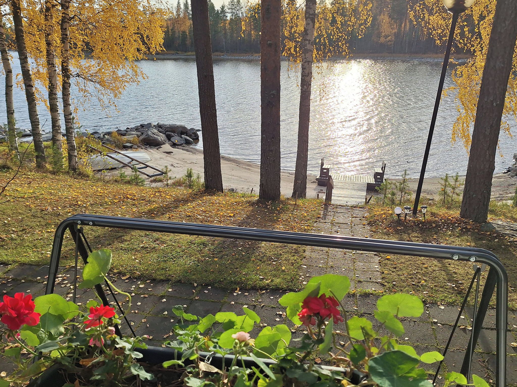 Näkymä järvelle, jossa on penkki, kajakki ja rivi koivuja.