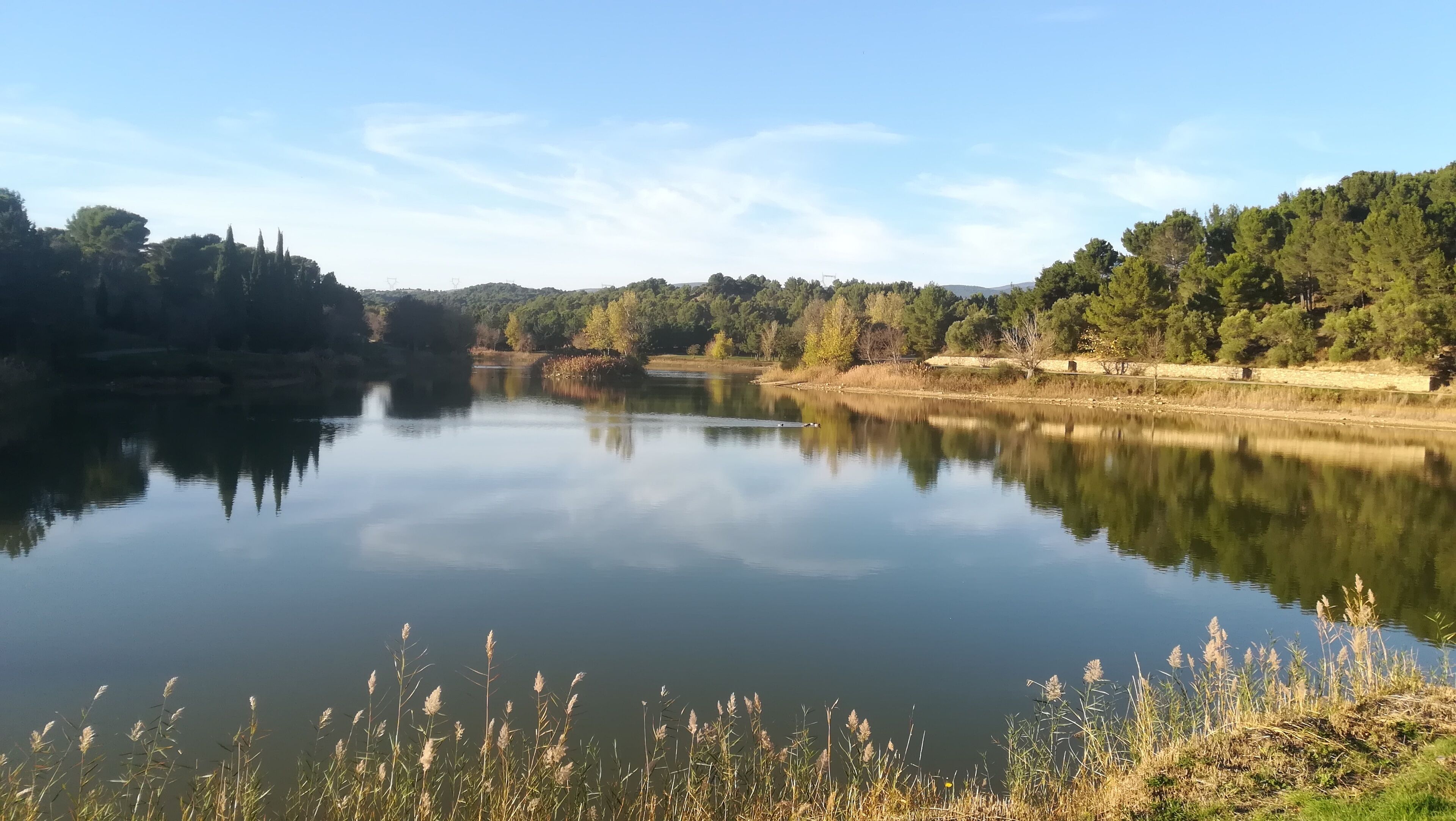 A calm lake with reflections of trees and a clear sky.
