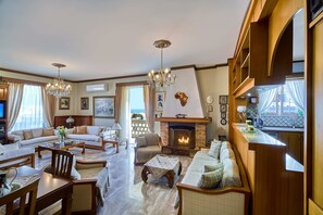 Télévision, cheminée, lecteur de DVD, livres