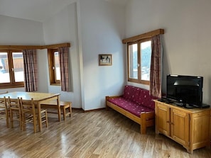 TV, DVD player, table tennis, video library