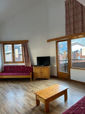 Tv, dvd-afspiller, bordtennisbord, videobibliotek