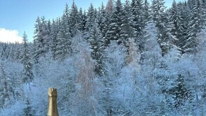 Una botella de champán y dos copas sobre una baranda de madera, con un bosque nevado al fondo.