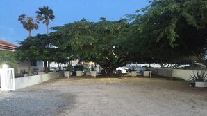 Un espace de stationnement avec un grand arbre au centre, entouré de plantes en pot et d’une voiture blanche garée à proximité.