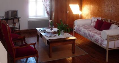 Maison de bourg rénovée avec patio et animaux acceptés