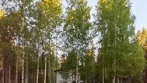 A cabin surrounded by tall trees in a forest.