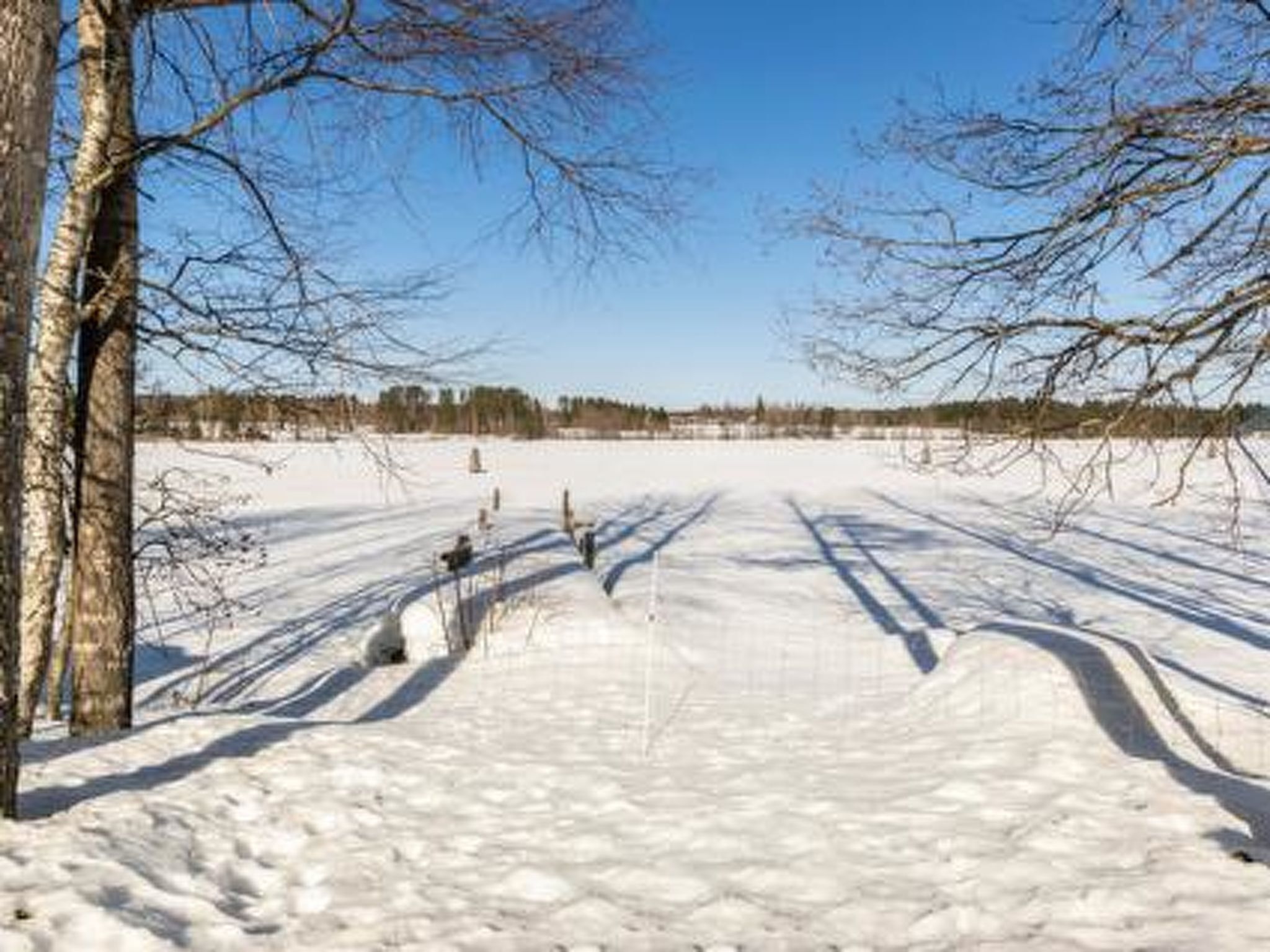 A snowy landscape with a clear path leading through a forest.