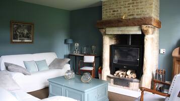 Smart TV, fireplace, DVD player, books