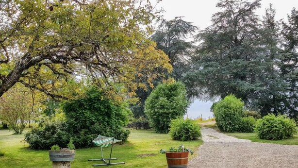 A garden with a gravel path, various shrubs, and a large tree with yellow leaves.