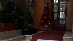 Immagine non classificata, 5 di 16, pulsante