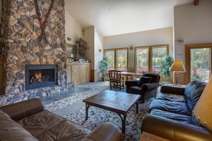 TV, fireplace, books