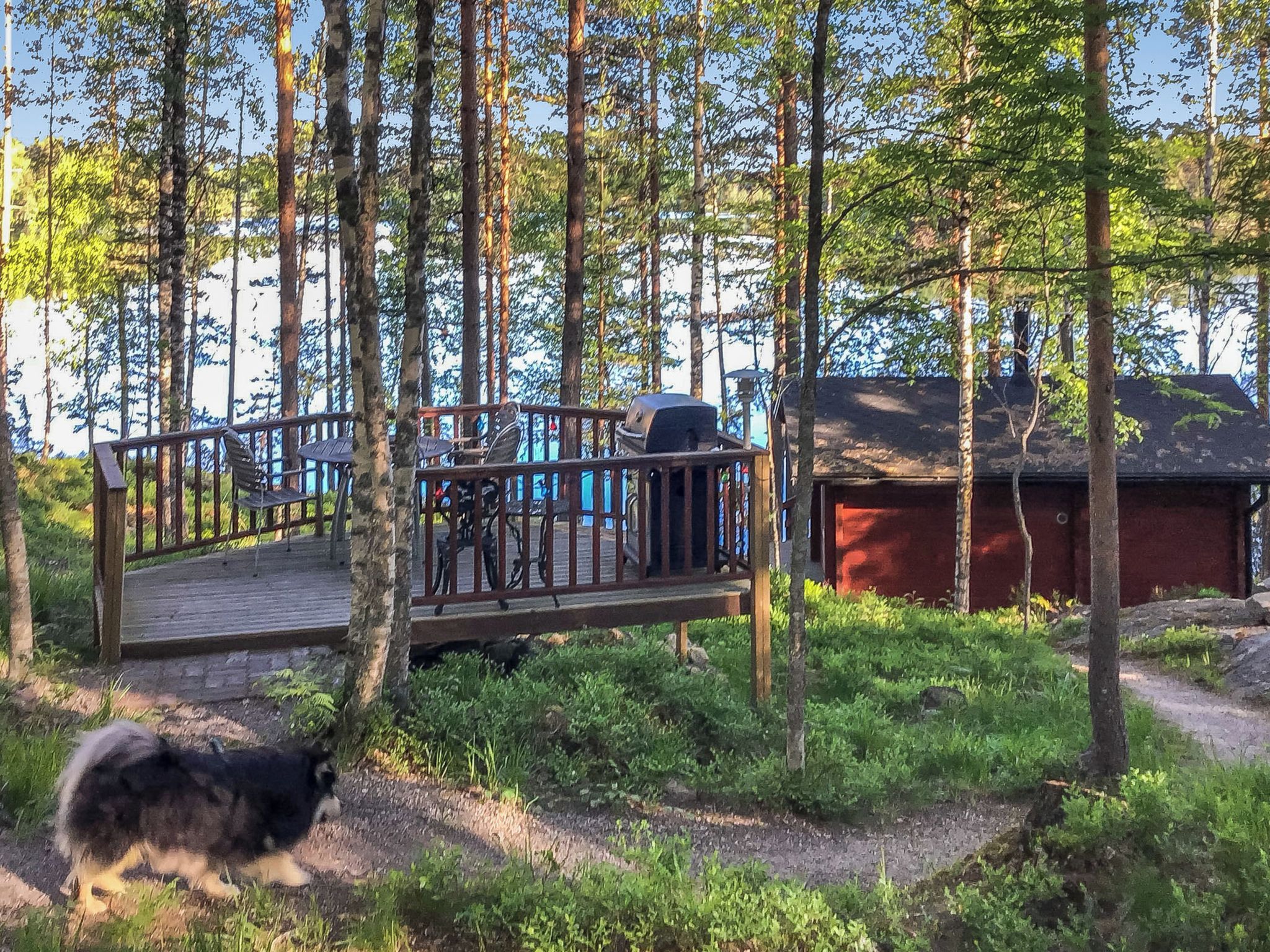 A wooden deck with a grill, surrounded by a forest with a cabin in the background.