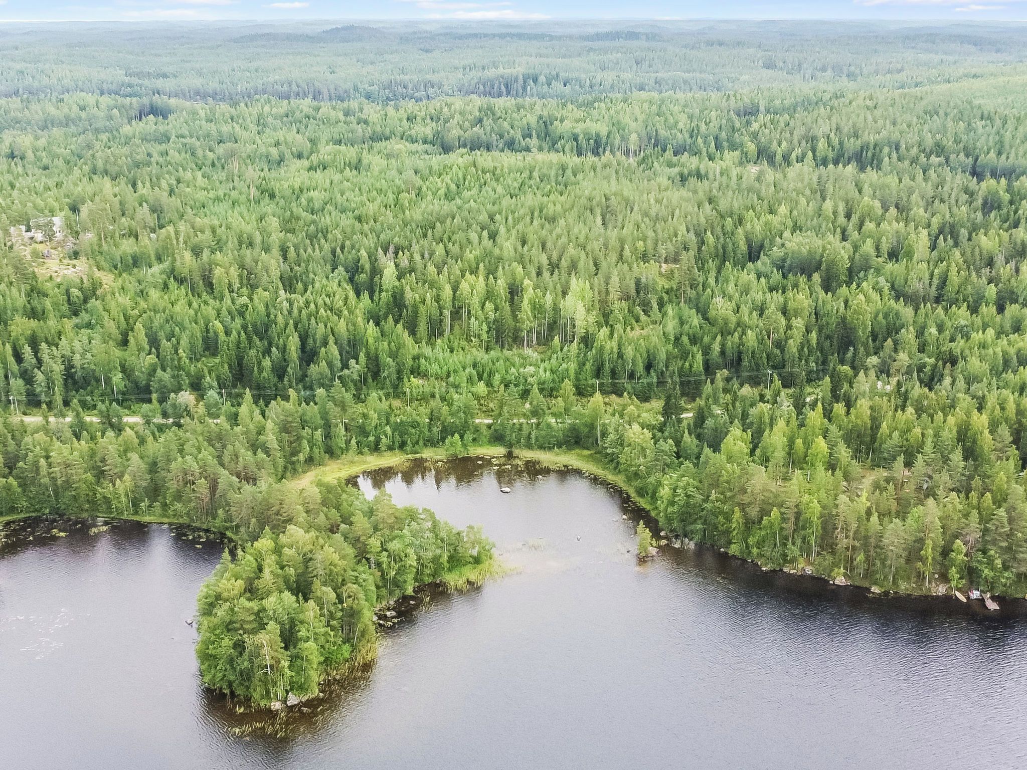 Ein bewaldetes Gebiet mit einem See.