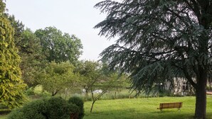 Un parc avec un banc, des arbres et une pelouse.