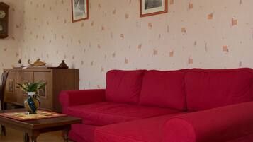 Flat-screen TV, DVD player, table tennis