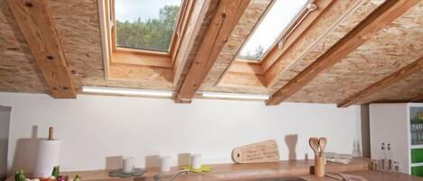 Fridge, oven, cookware/dishes/utensils, freezer