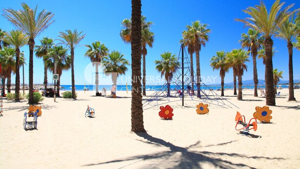A beach with palm trees, sun loungers, and a clear blue sky.
