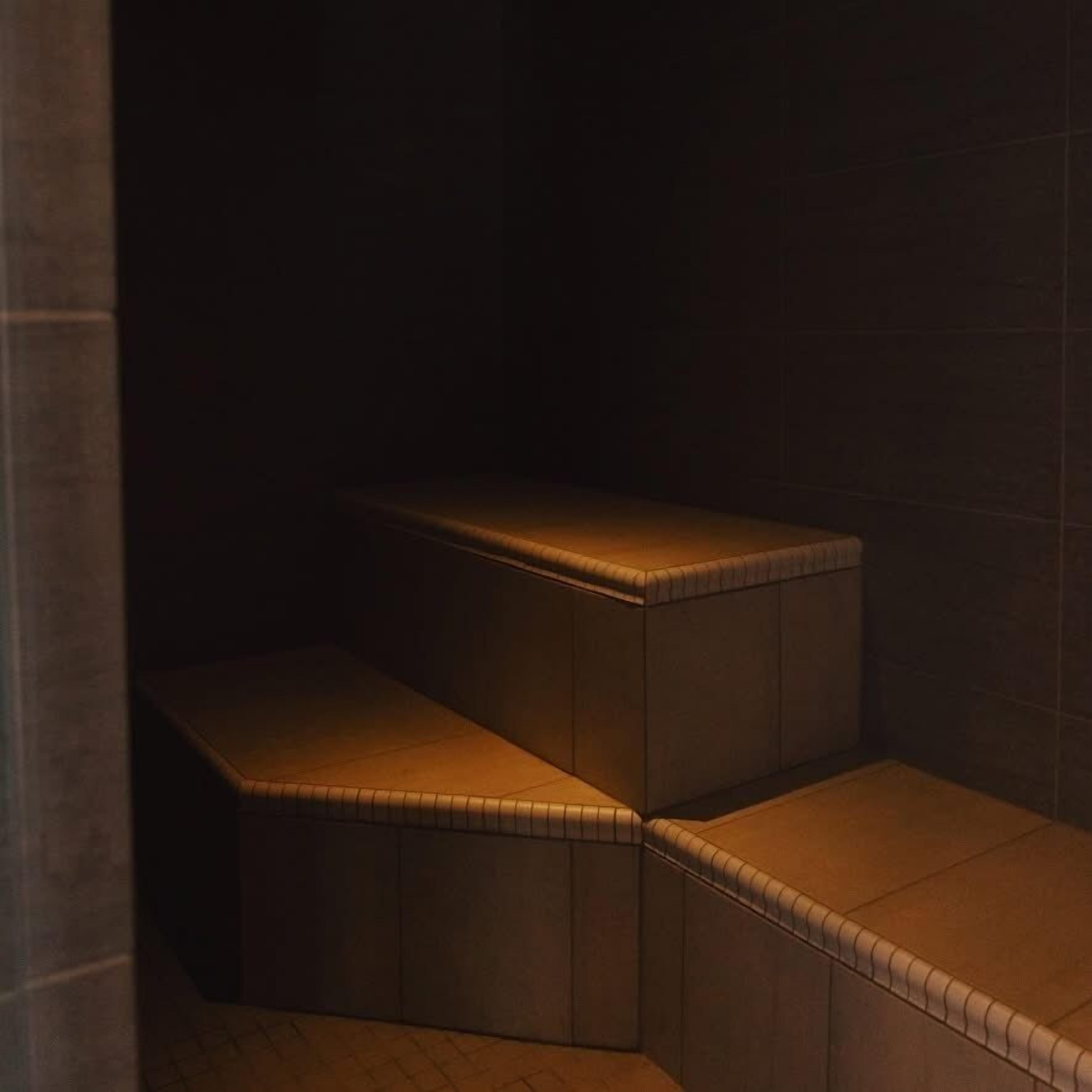 A set of steps with a cushioned top, leading to a dark interior space.