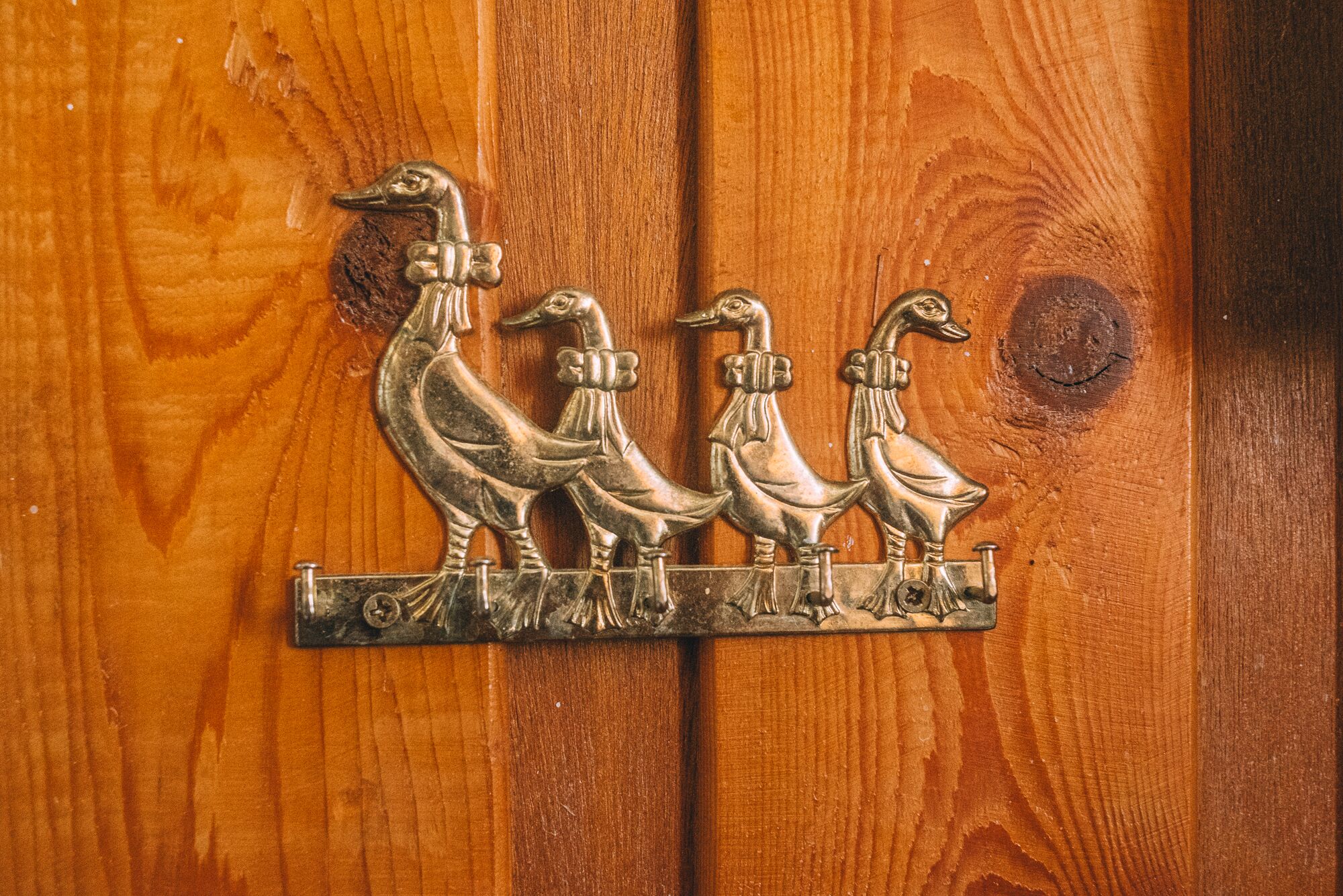 A wooden door with a metal handle featuring a decorative duck design.