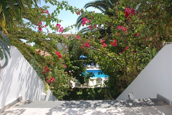 حمّام سباحة خارجي