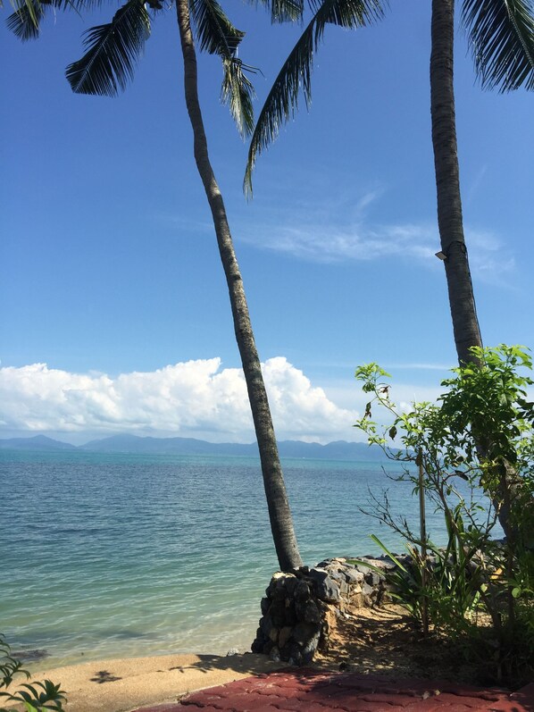 A beach with clear blue water, palm trees, and a rocky outcrop.