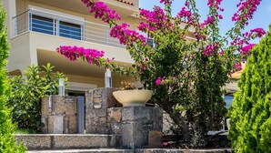 A set of stone steps leading to a building with balconies, surrounded by lush greenery and vibrant pink bougainvillea flowers.