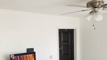 Smart TV, chimenea, reproductor de DVD y libros