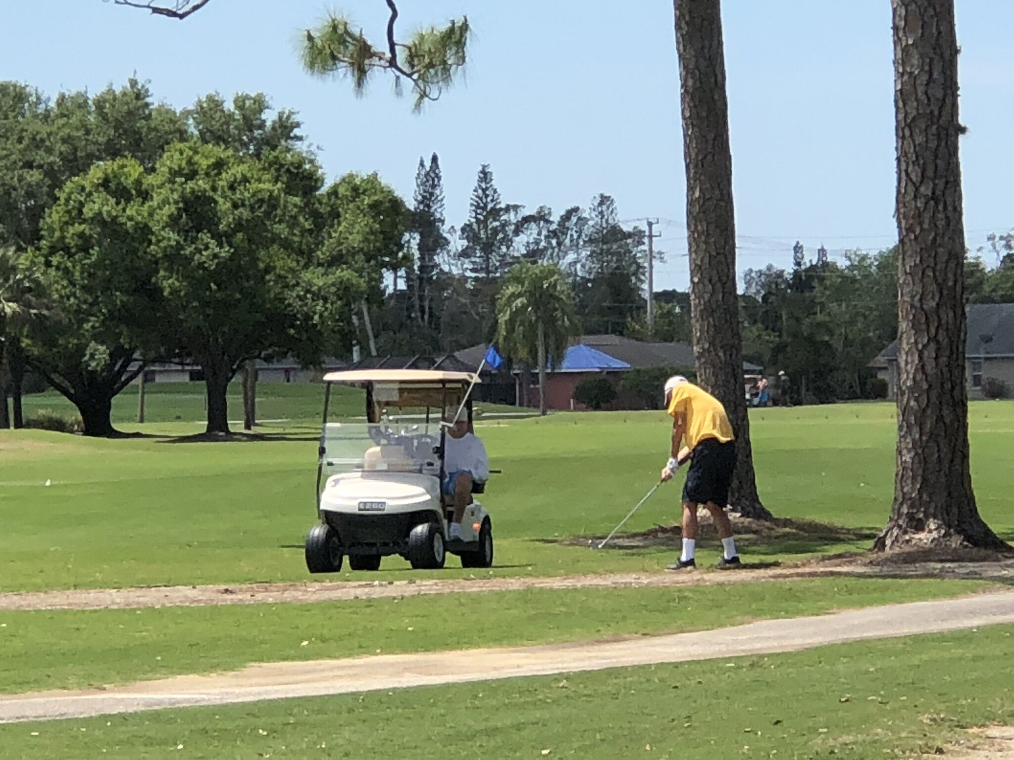 Een golfbaan met een golftrolley en een golfer in een geel shirt.