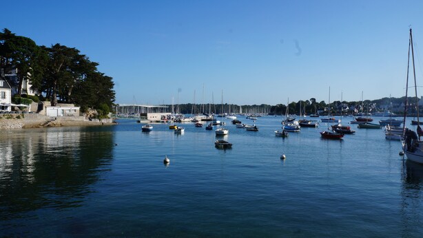 A marina with numerous boats docked, calm water, and a backdrop of trees and buildings.