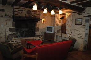 تلفزيون، مدفأة، مشغل دي في دي، كُتُب