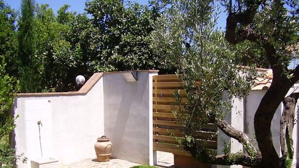 Un jardin avec un mur blanc, une clôture en bois et un arbre.