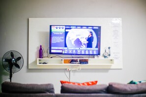 Televisor 