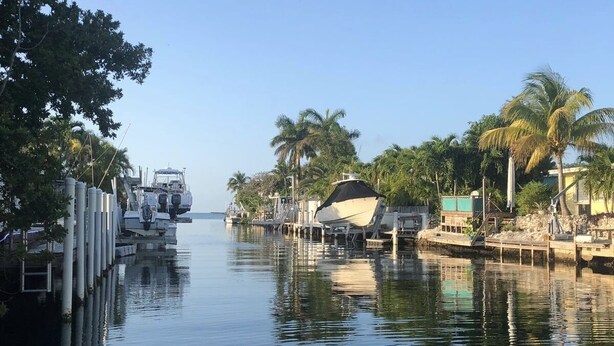 A calm waterfront with boats docked, palm trees, and a clear sky. - Yellowtail Getaway 3 bedrooms,4 beds,3 bath,boat dock,ice maker and heated pool (Marathon)